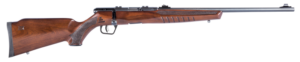 Savage B22 G, .22 lfB, 21 Zoll