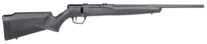 Savage B22 F, .22 WMR, 21 Zoll