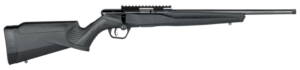 Savage B22 FV-SR, .22 lfB, 16 Zoll