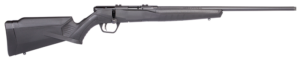 Savage B17 FV TB, .17 HMR, 21 Zoll