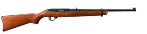 Ruger 10/22 Carbine, .22 lfB, 18,5 Zoll