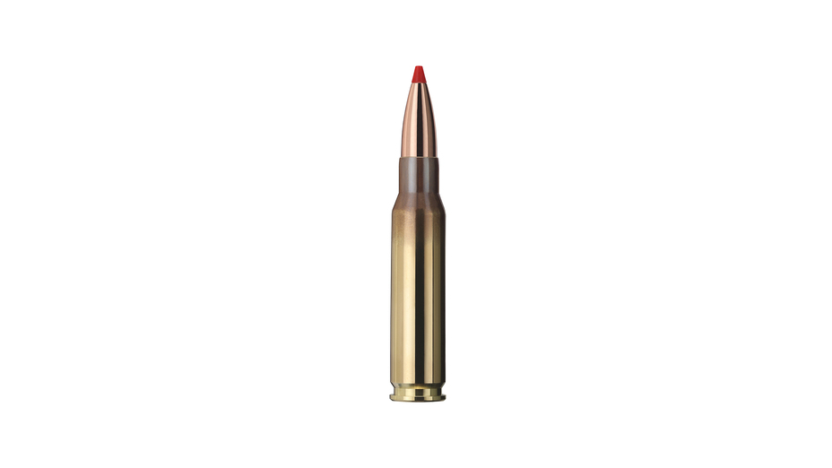 GECO .308 Win. EXPRESS 10,7g/165gr, 20 Stück