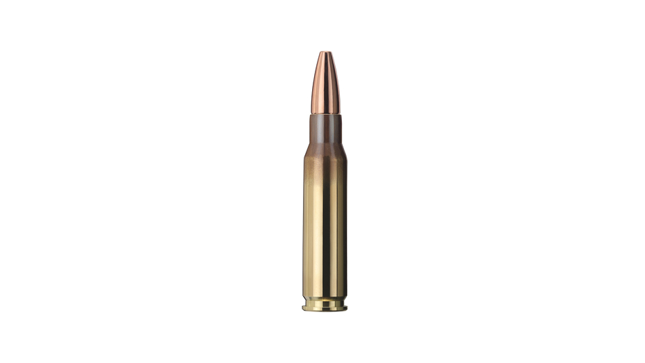 GECO .308 Win. PLUS 11,0g/170gr, 20 Stück
