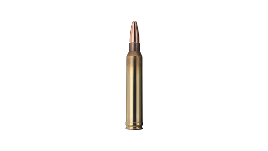 GECO .300 Win. Mag. PLUS 11,0g/170gr, 20 Stück