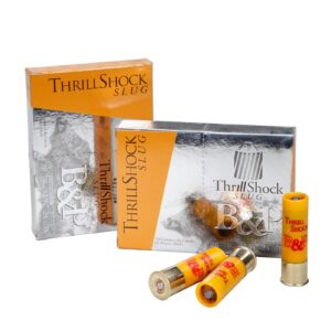 Baschieri & Pellagri 20/70 Thrill Shock Slug 25g, 10 Stück