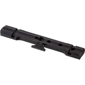 Dentler Grundschiene BASIS®, Bergara Scout
