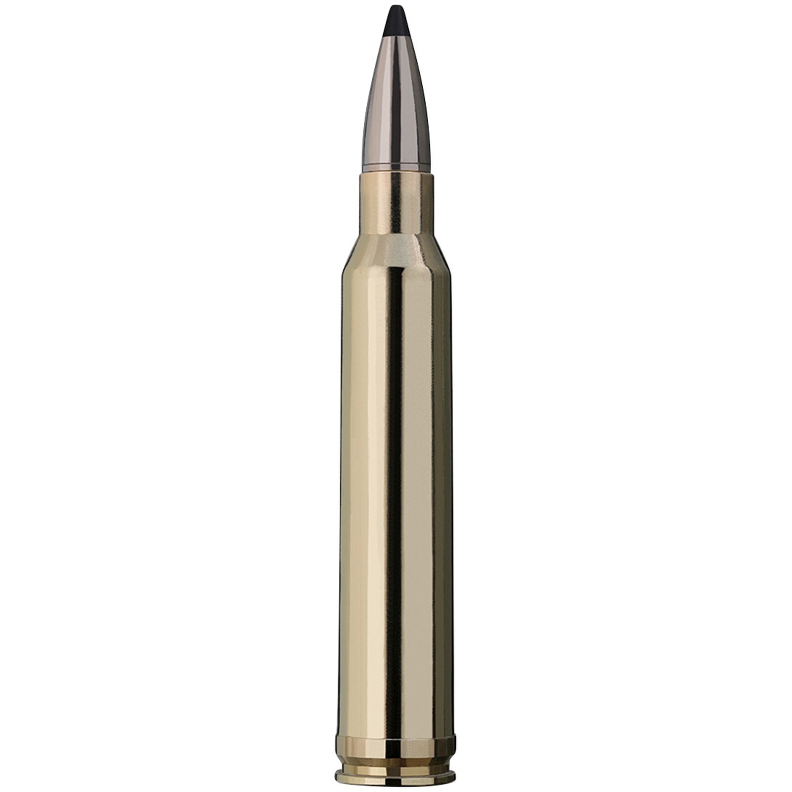 RWS .300 Win. Mag. Speed Tip Professional 10,7g/165grs., 20 Stück