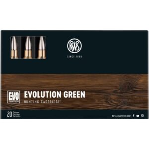 RWS .300 Win. Mag. Evolution Green 9,0g/139grs., 20 Stück