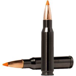 Norma .308 Win. Tipstrike Silencer 11,0g/170grs., 20 Stück