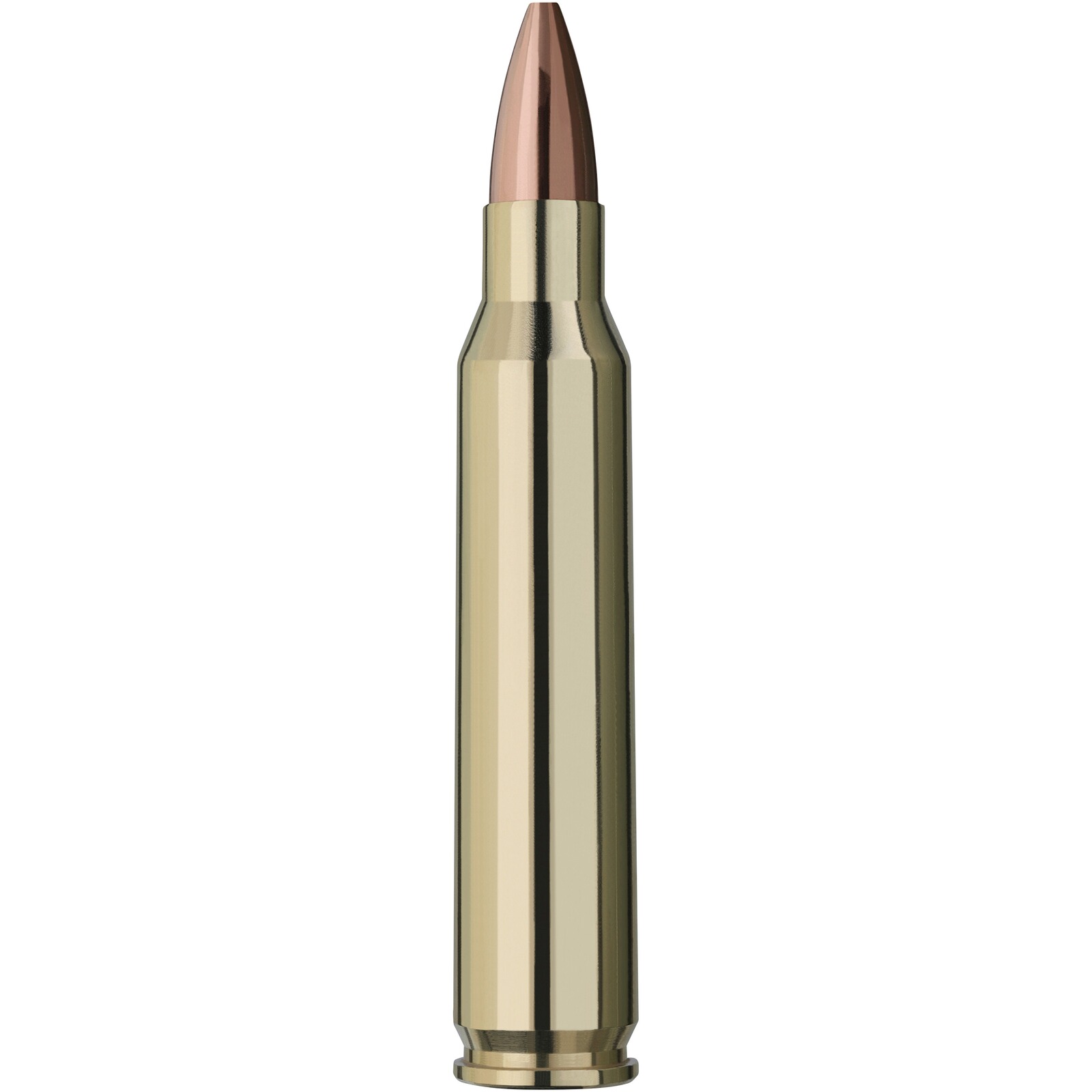 RWS .223 Rem. Scorion 3,4g/52grs., 20 Stück
