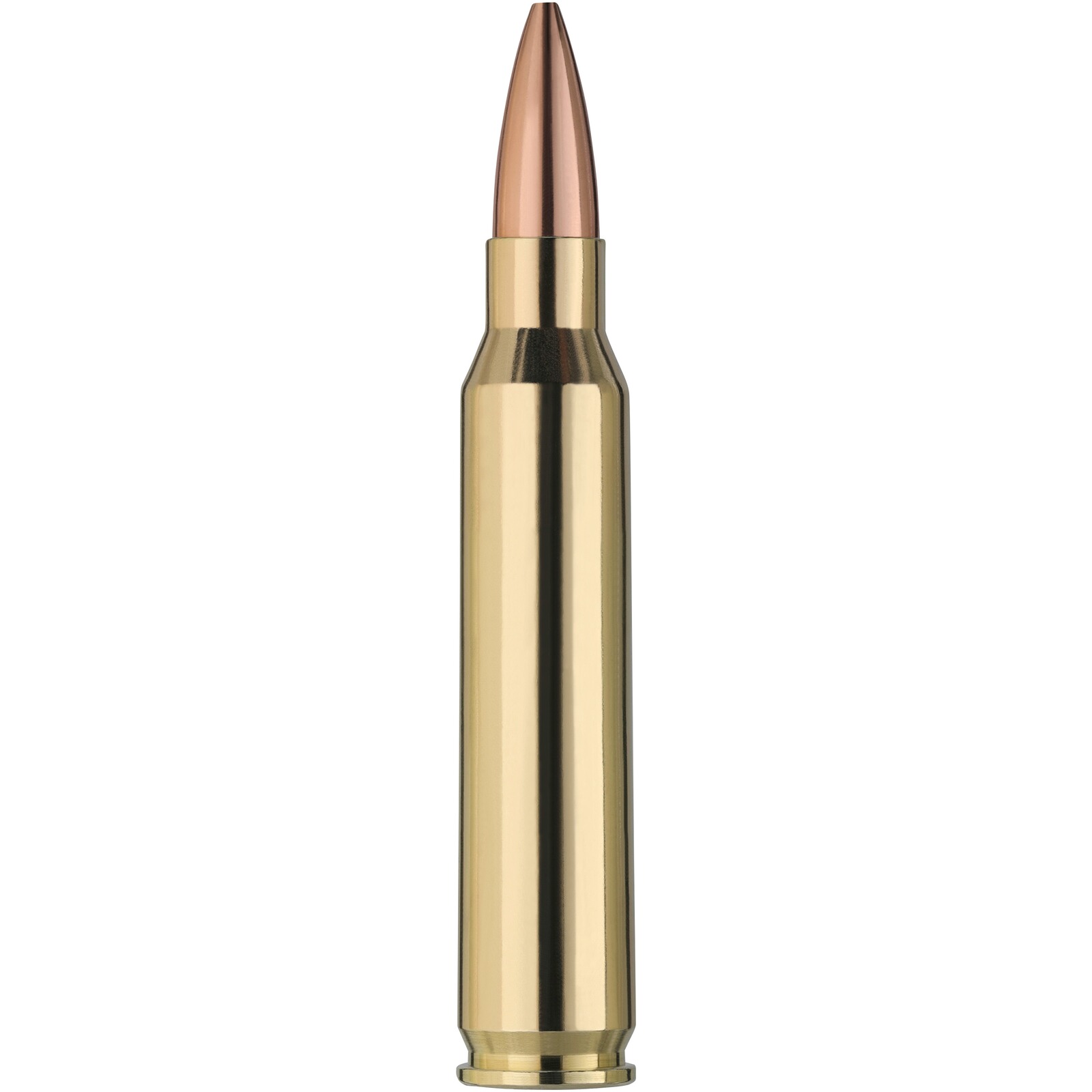 RWS .223 Rem. Scorion 4,5g/69grs., 20 Stück