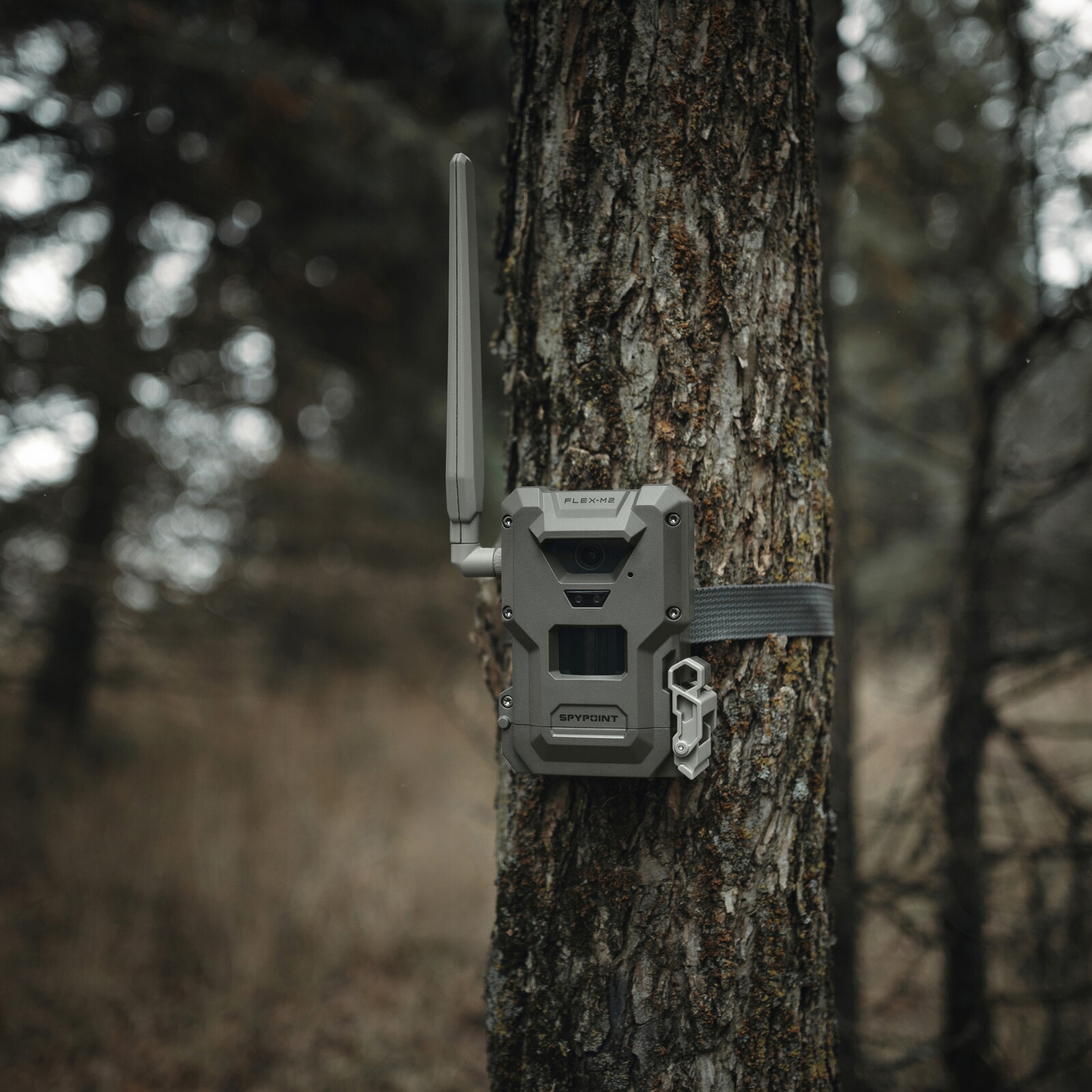 Spypoint Wildkamera Flex-M2, 1 Stück